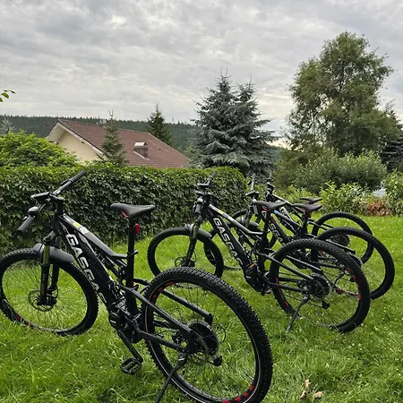 Larice Vip - Sauna, Balia, Basen Świeradów-Zdrój