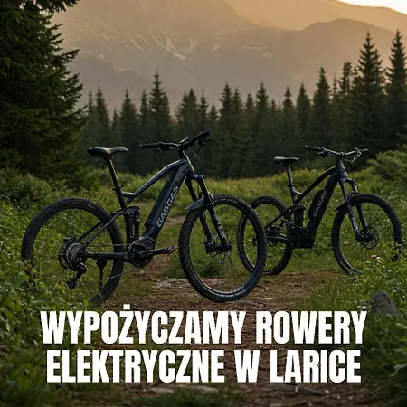 Larice Vip - Sauna, Balia, Basen * Świeradów-Zdrój