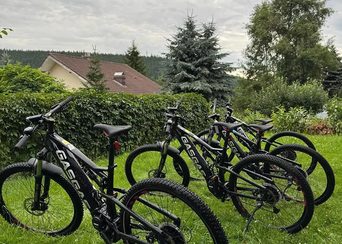 Larice Vip - Sauna, Balia, Basen Świeradów-Zdrój