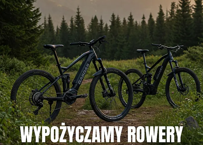 Larice Vip - Sauna, Balia, Basen - Cale Pietro Na Wylacznosc * Świeradów-Zdrój